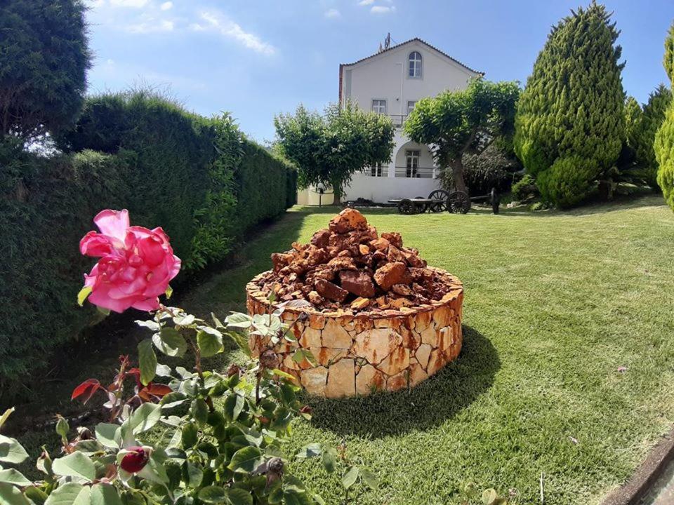 Hotel Quinta Do Viso Miranda do Corvo Luaran gambar